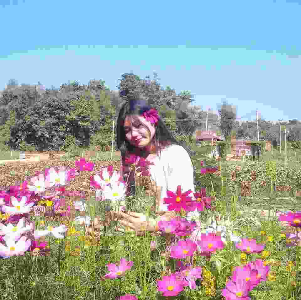 家庭教師の個人契約　マッチング　家庭教師