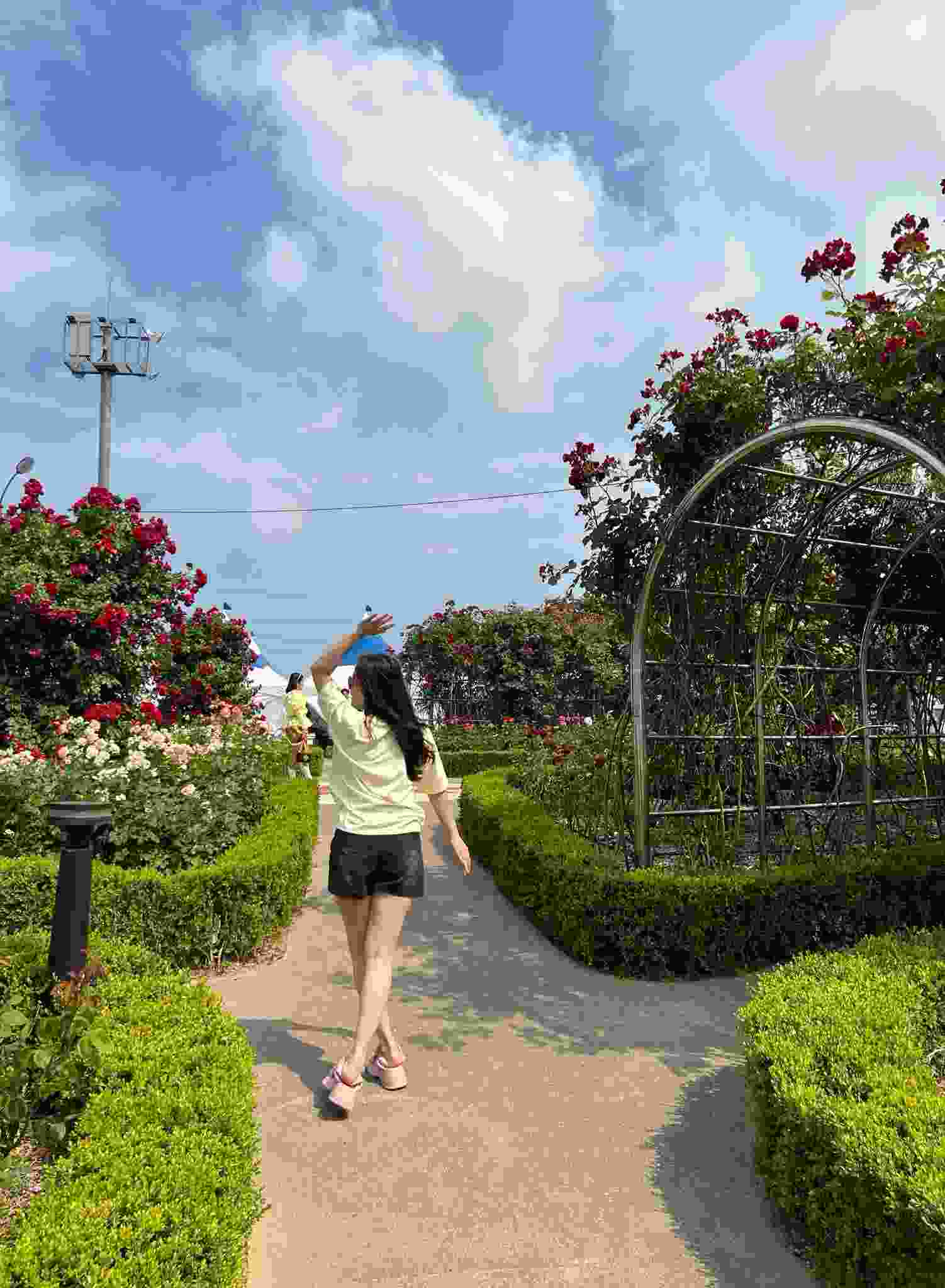 家庭教師の個人契約　マッチング　家庭教師