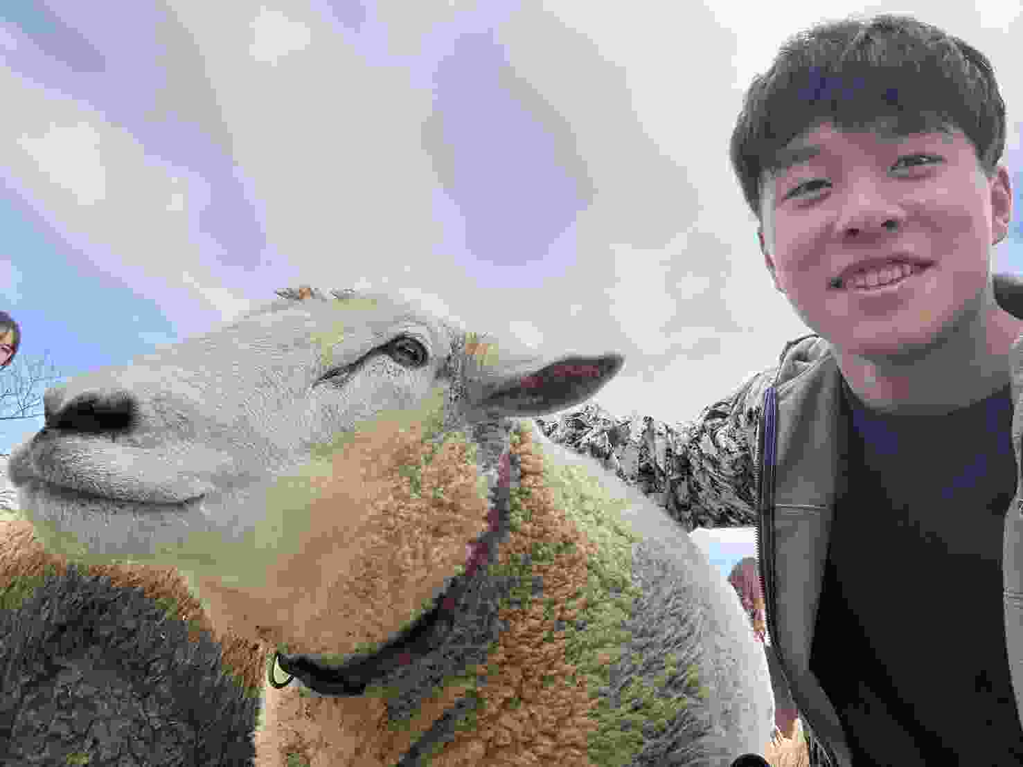 家庭教師の個人契約　マッチング　家庭教師